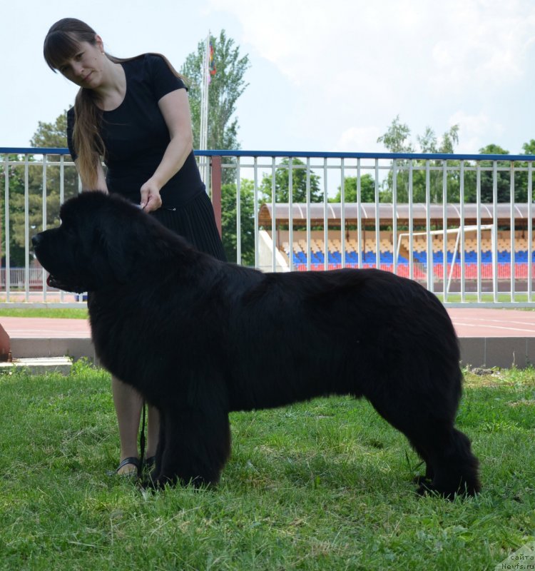 Фотография № 125593