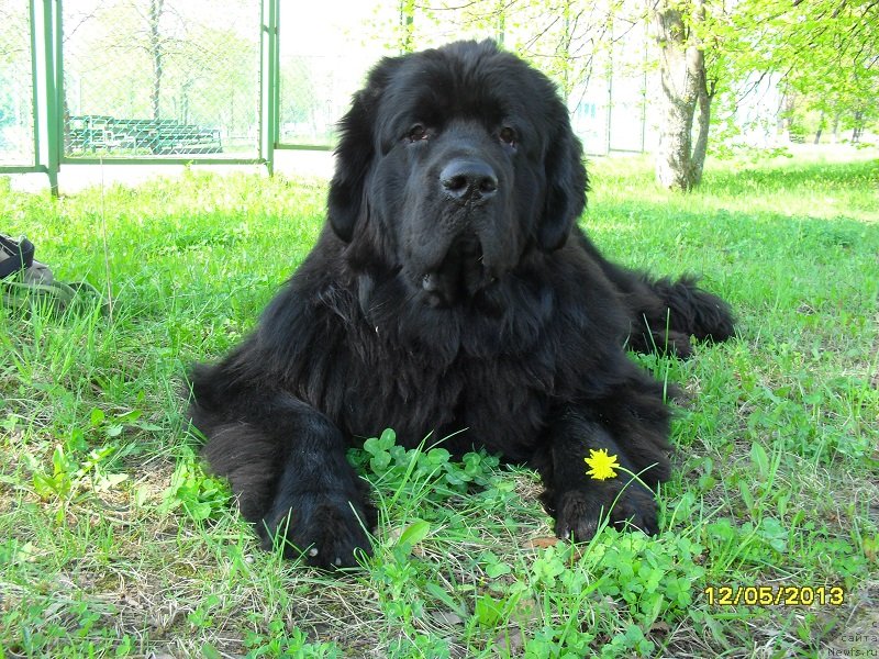 Фотография № 125595