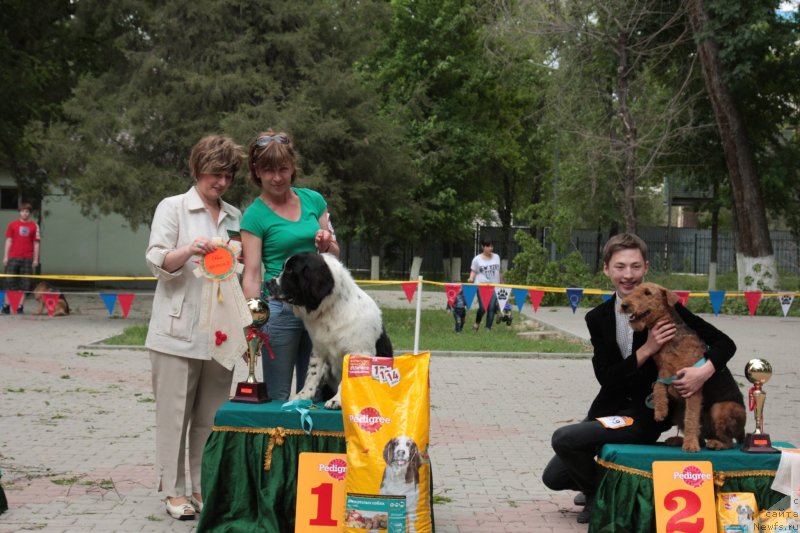 Фотография № 125624