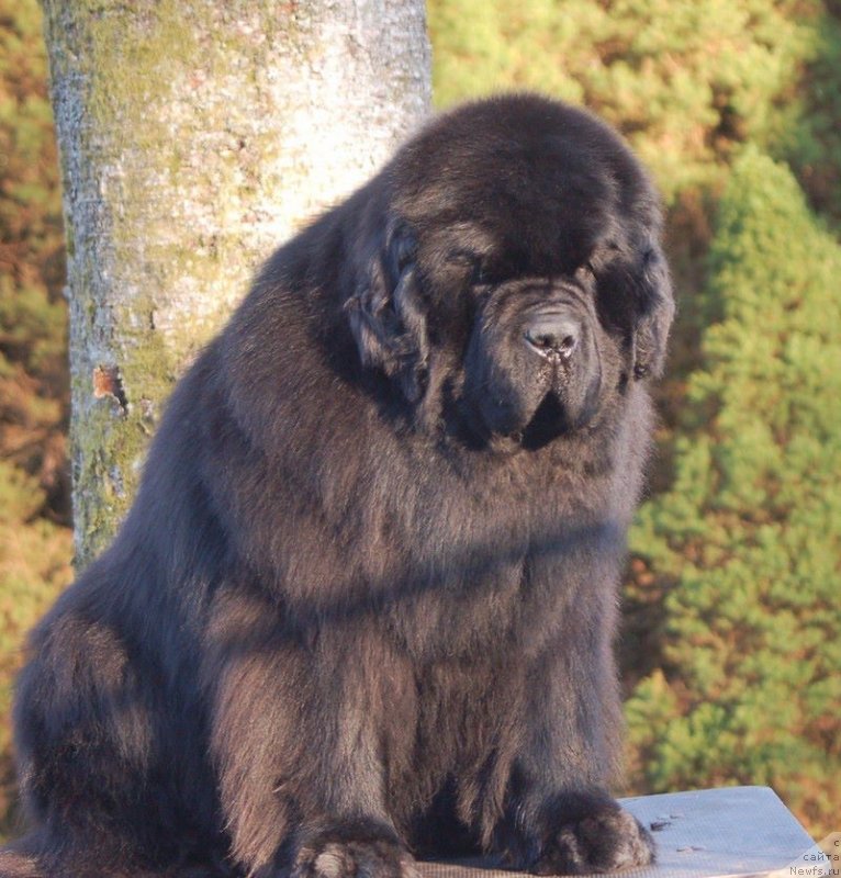 Фотография № 125626