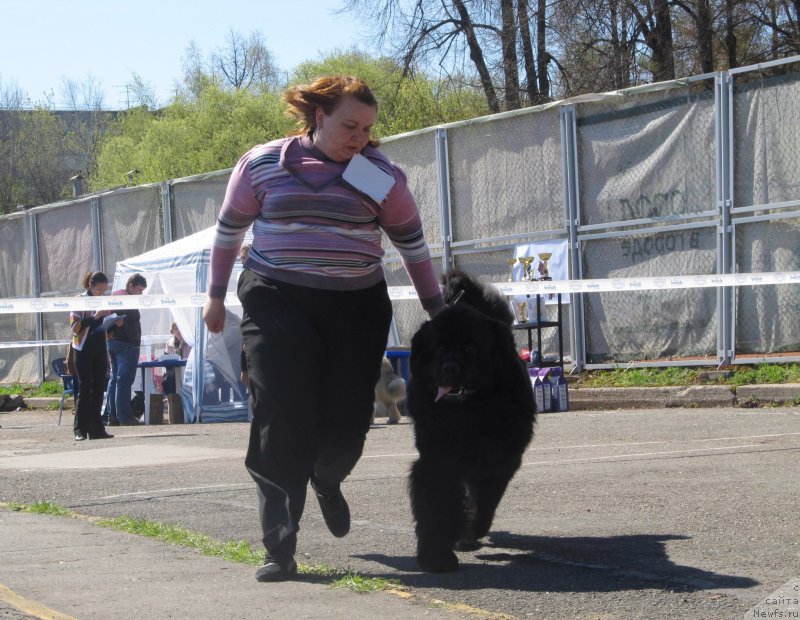 Фото: Natal'ya Gostyuhina (Наталья Гостюхина)