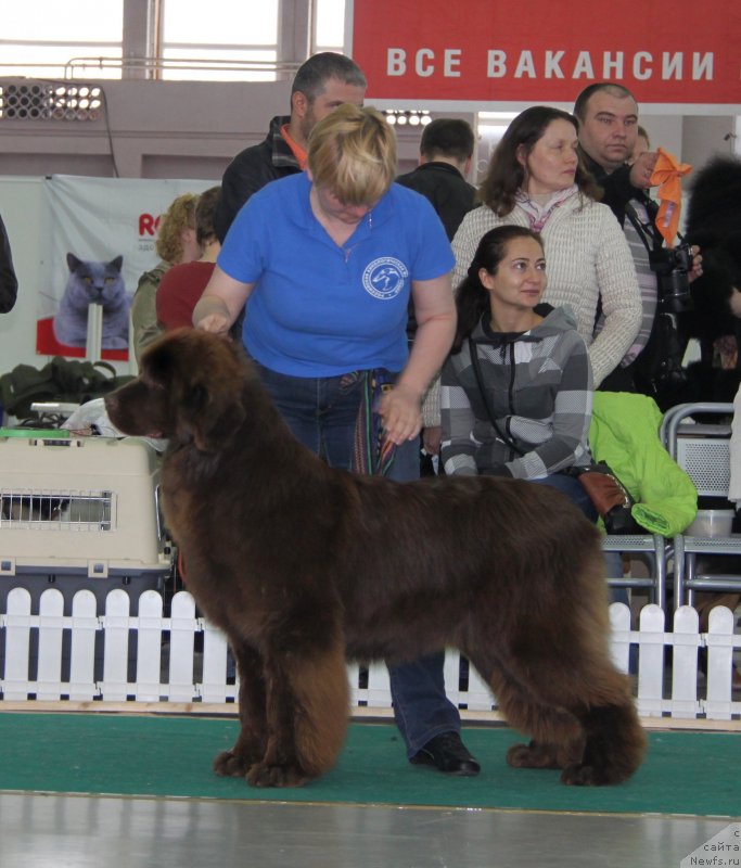 Фотография № 125646