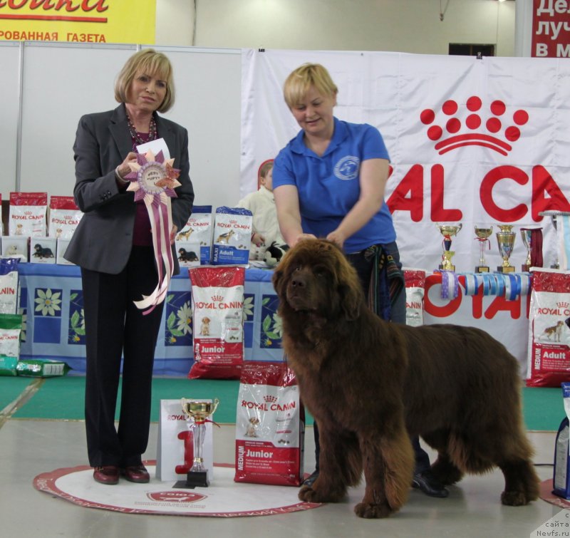 Фотография № 125648