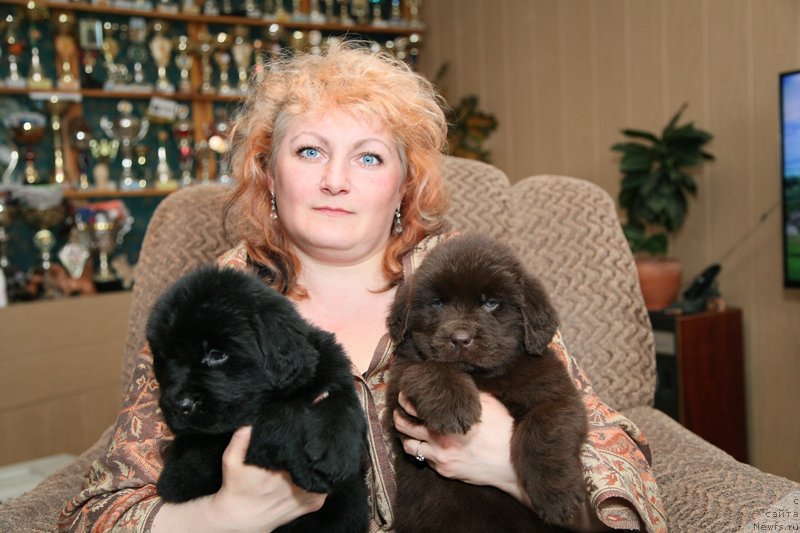 Фото: дети, ньюфаундленд CHernyiy SHarm Amber Best Dog FO Marleon (Черный Шарм Амбер Бест Дог ФО Марлеон), Tat'yana SHayduk (Татьяна Шайдук)