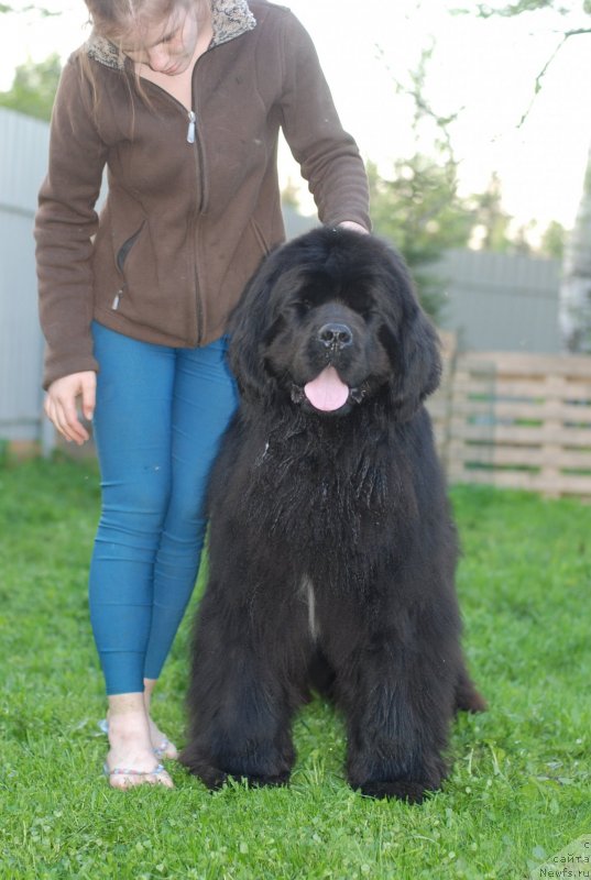 Фотография № 125687