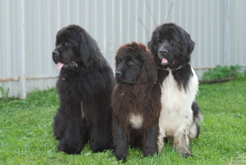 Фотография № 125694