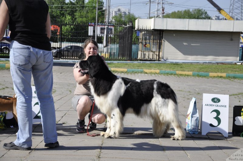 Фотография № 125728