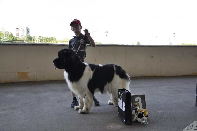 Фотография № 125730