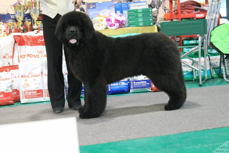 Фото: Южный Океан от Сибирского Медведя