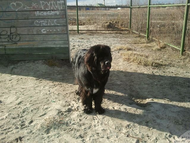 Фотография № 125778