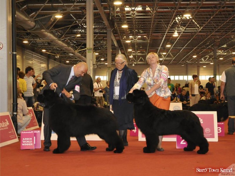 Фотография № 125787