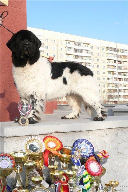 Фотография № 12579