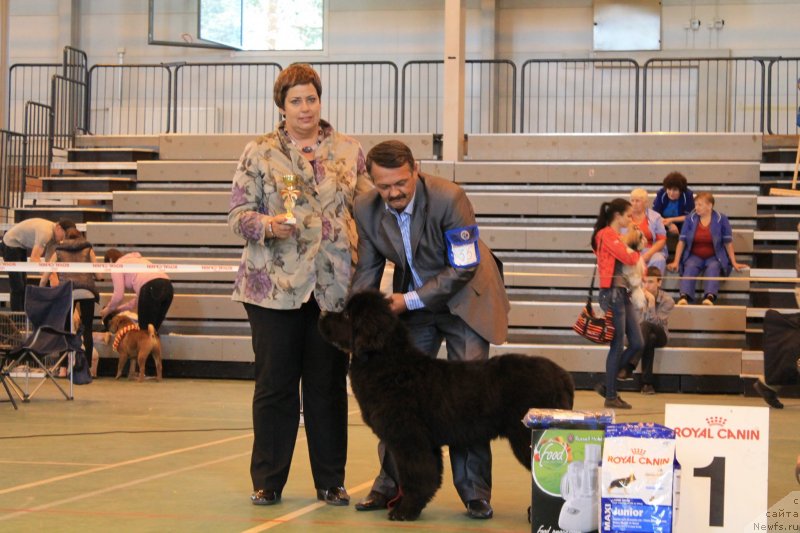 Фотография № 125866