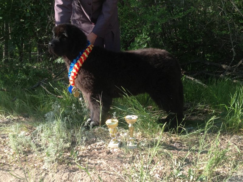 Фотография № 125879