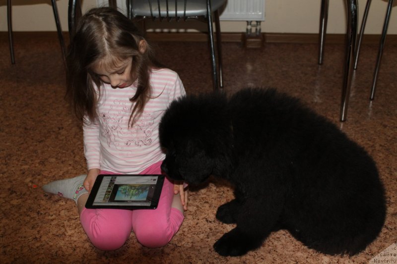 Фотография № 125954