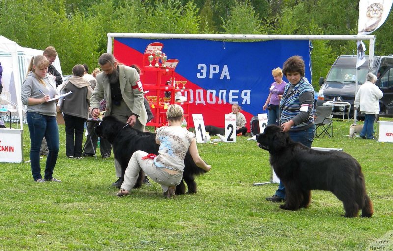 Фотография № 125994