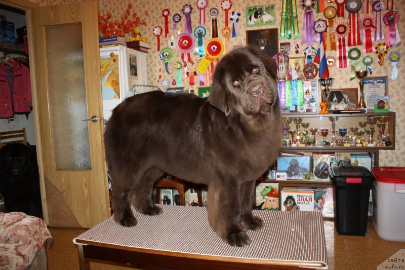 Фотография № 125996