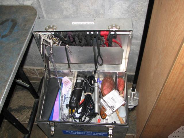 Фотография № 12603