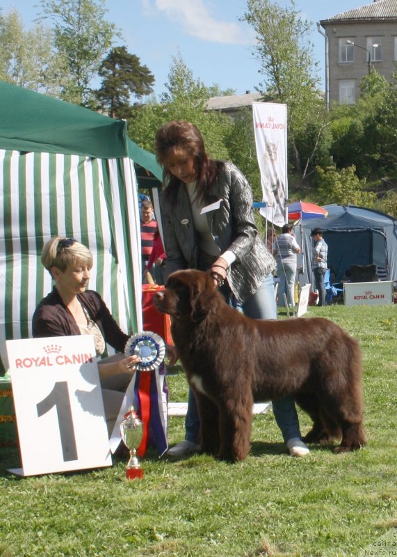 Фотография № 126033