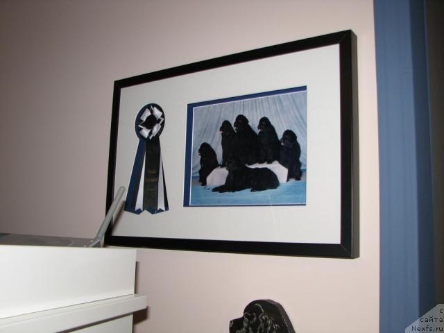 Фотография № 12605