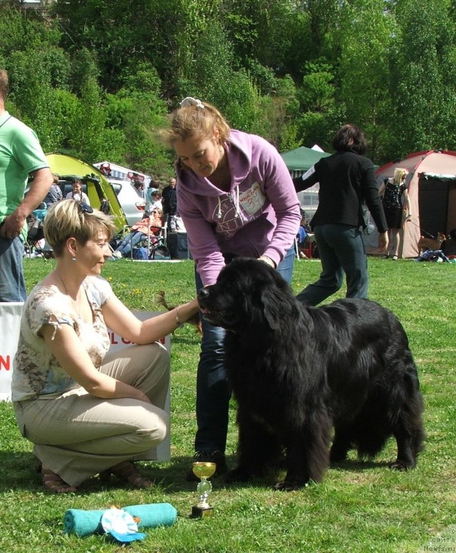 Фотография № 126059