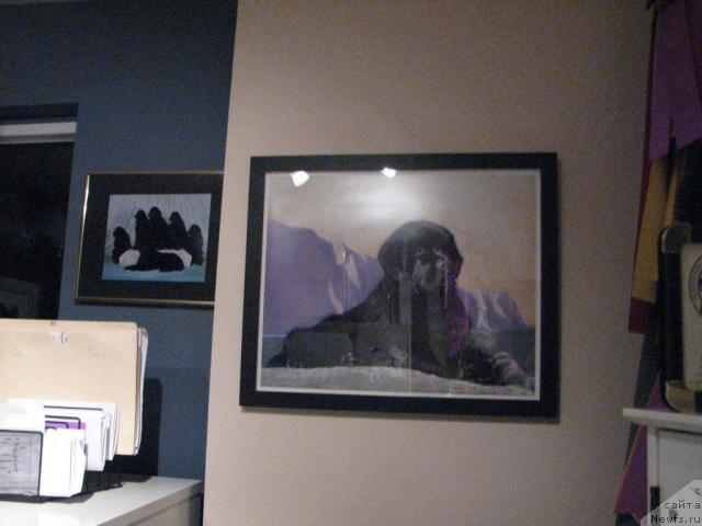 Фотография № 12607