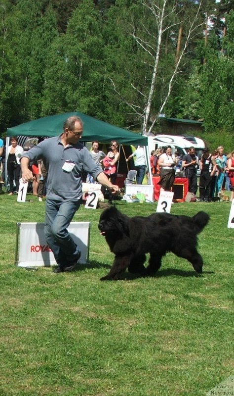 Фотография № 126072