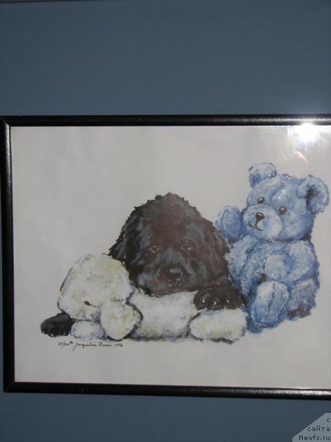 Фотография № 12609