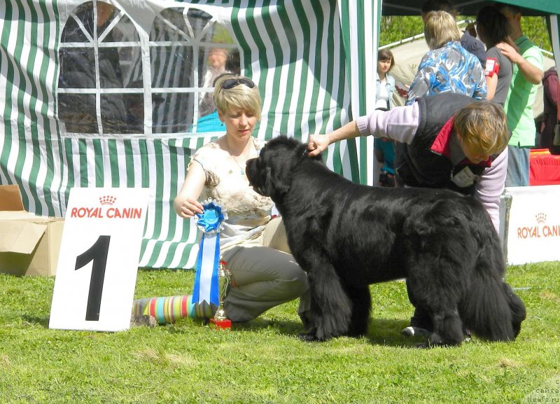 Фотография № 126098