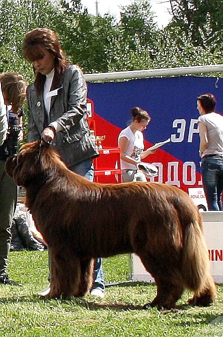 Фотография № 126107