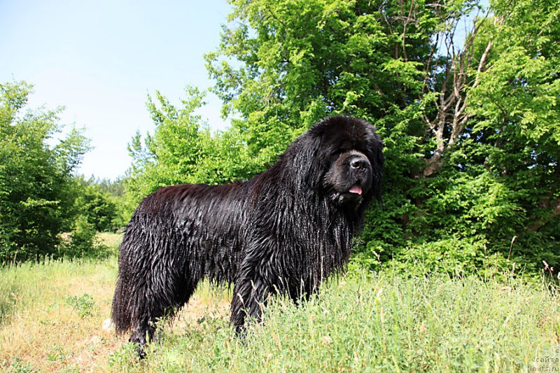 Фотография № 126122