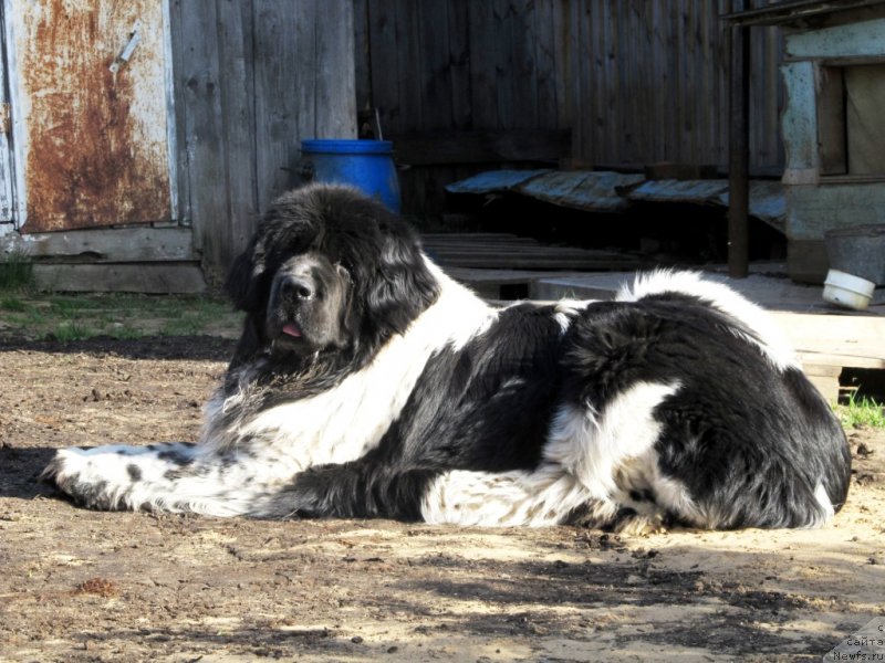 Фотография № 126148