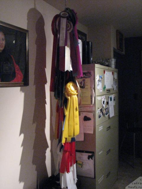 Фотография № 12616