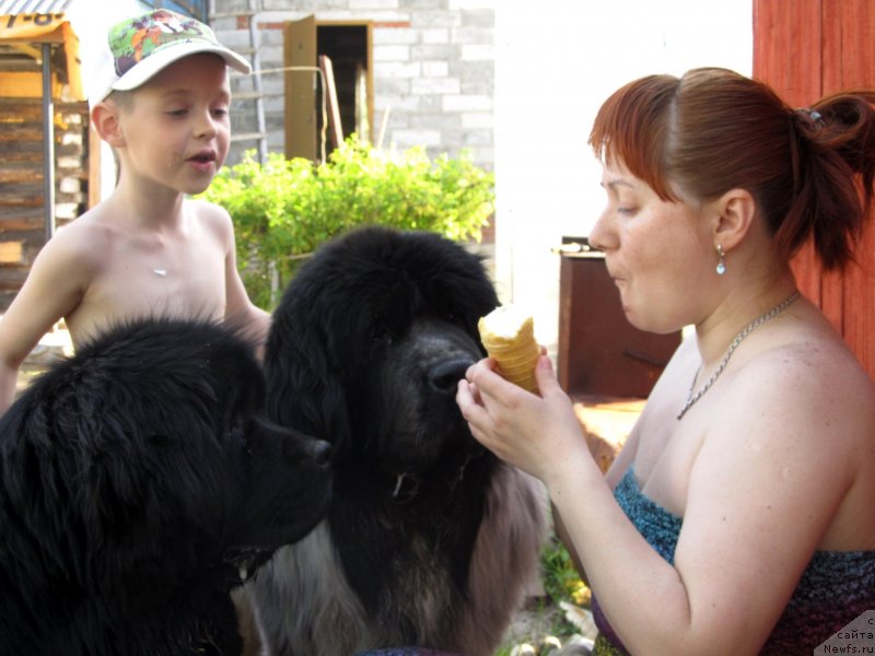 Фото: Irina Nistratova (Ирина Нистратова), ньюфаундленд Ih Vyisochestvo Vladlena Madjiks (Их Высочество Владлена Маджикс), ньюфаундленд Super Bizon Ekaterinburg (Супер Бизон Екатеринбург)