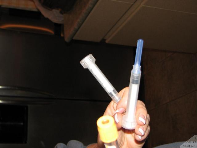 Фотография № 12617