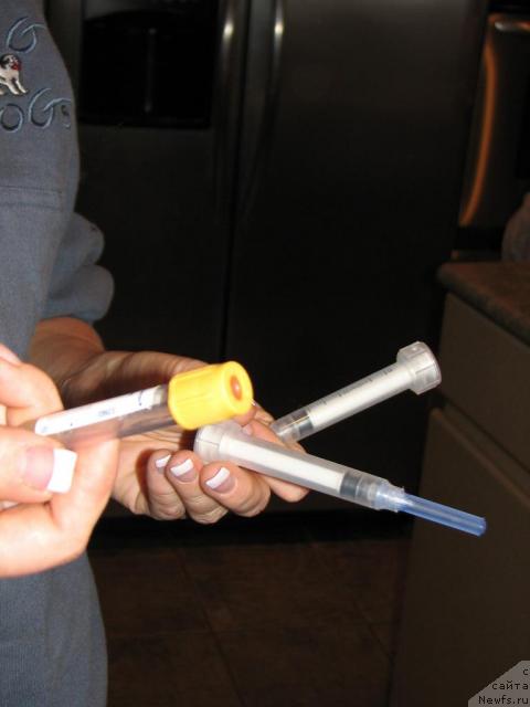 Фотография № 12618