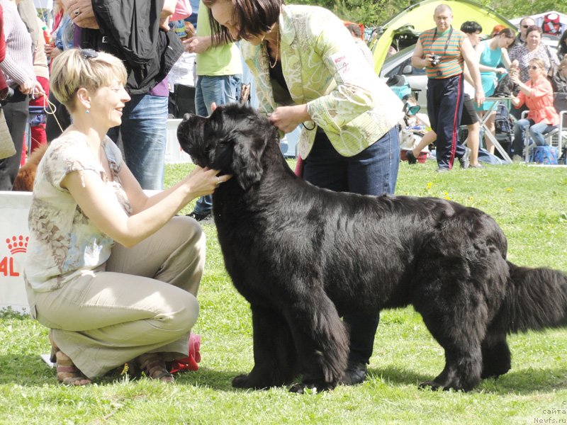 Фотография № 126188