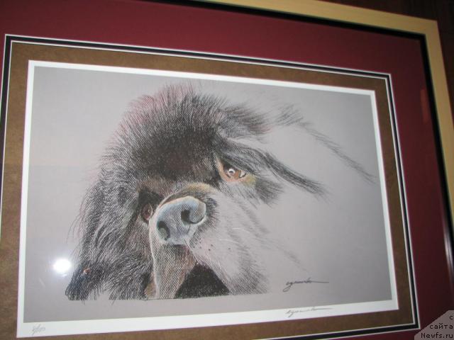 Фотография № 12620