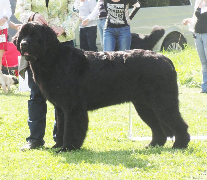 Фотография № 126222