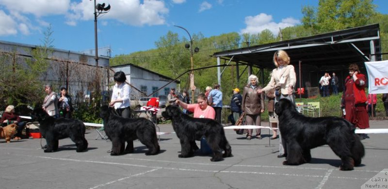 Фотография № 126258