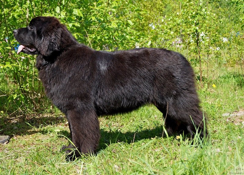 Фотография № 126285