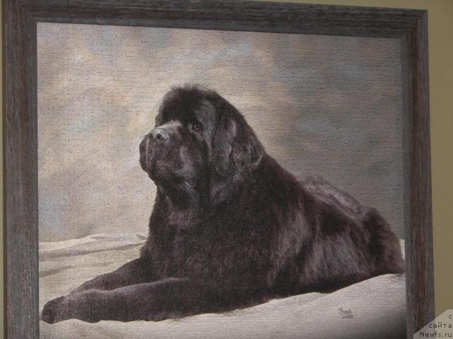 Фотография № 12629