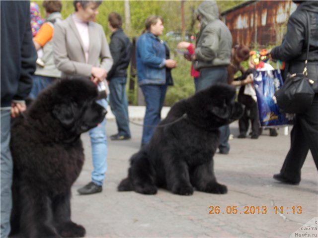 Фотография № 126311