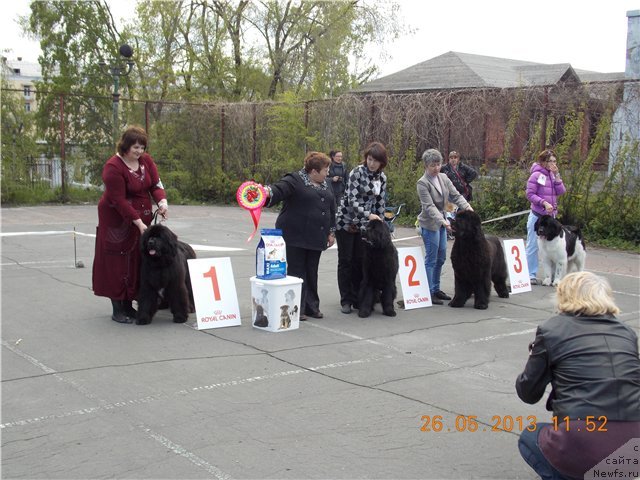 Фотография № 126312