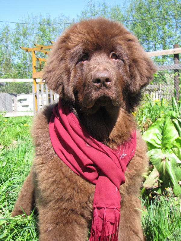 Фотография № 126317