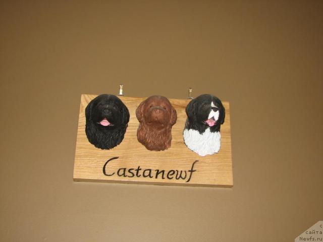 Фотография № 12635