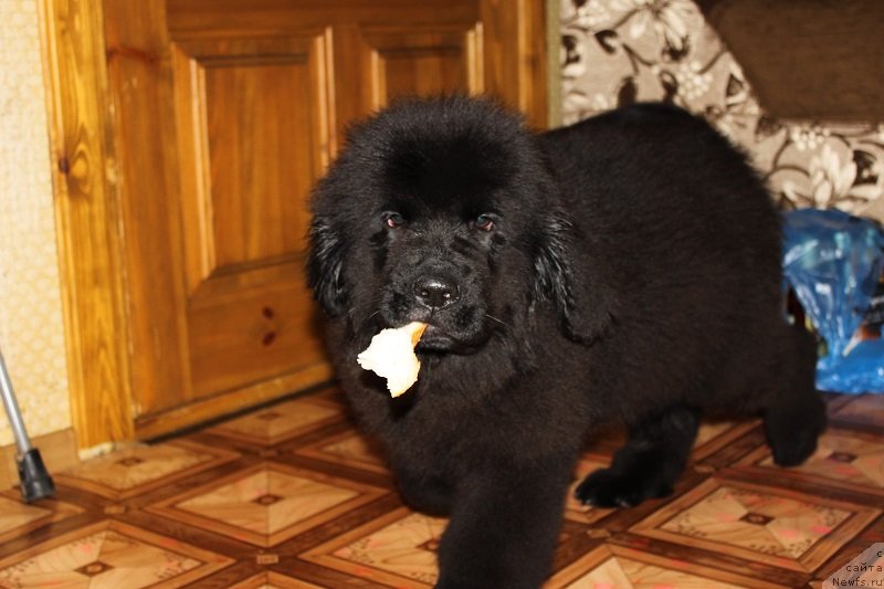 Фото: [d12420] 3 мес 5 дней