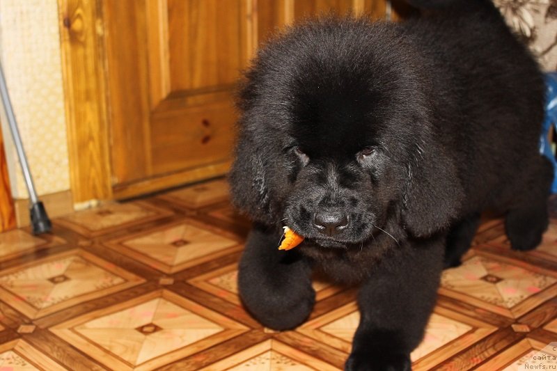 Фото: [d12420] 3 мес 5 дней