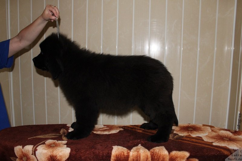 Фото: [d12420] 3 мес 5 дней