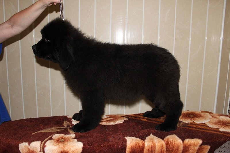 Фото: [d12420] 3 мес 5 дней